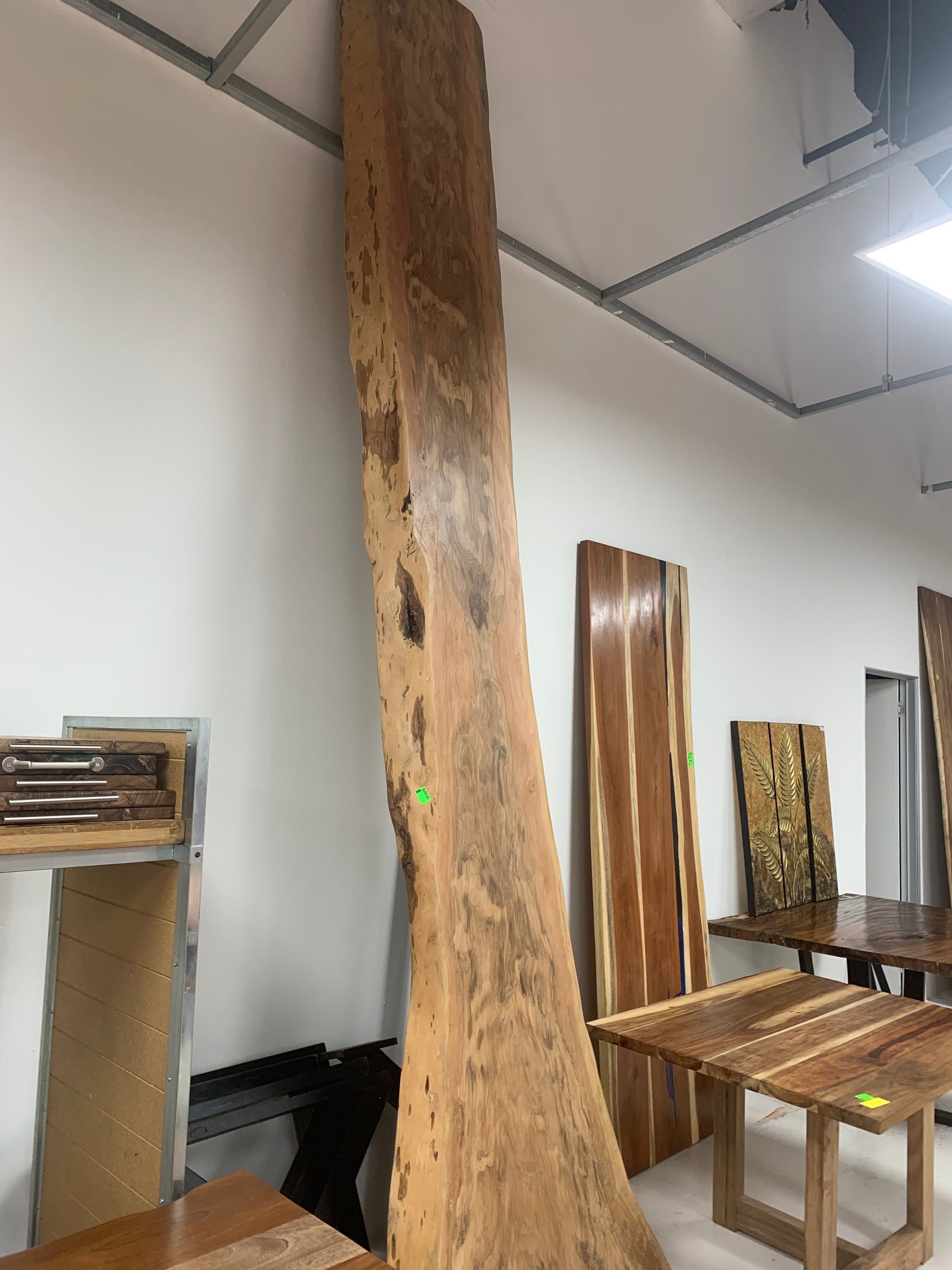 Wild Teak Table