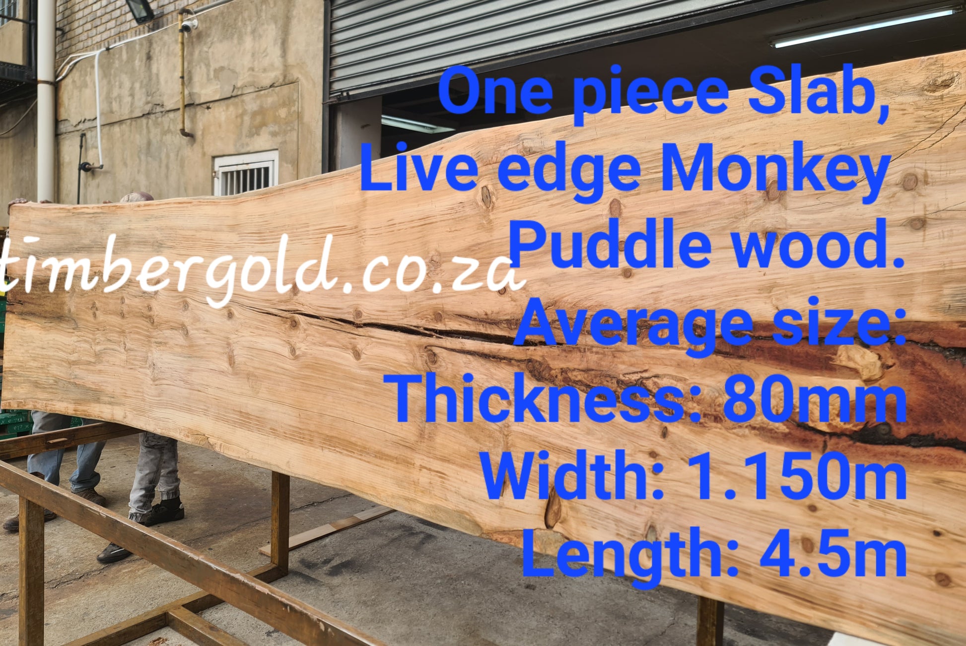 Monkey Puddle Wood