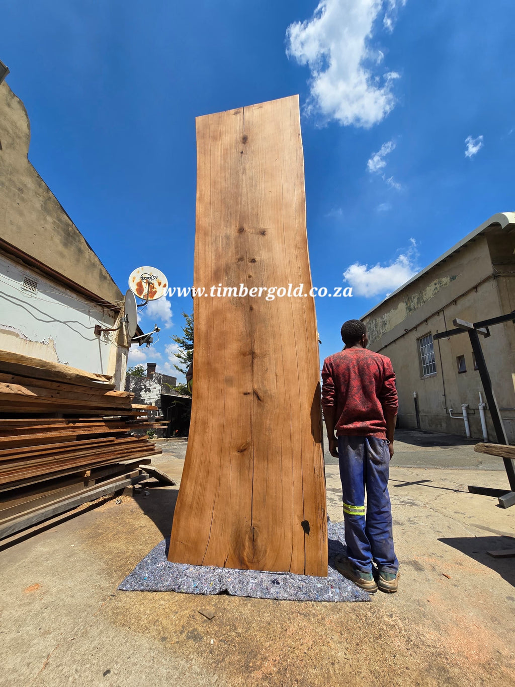 Live edge African maple with Oak insert.