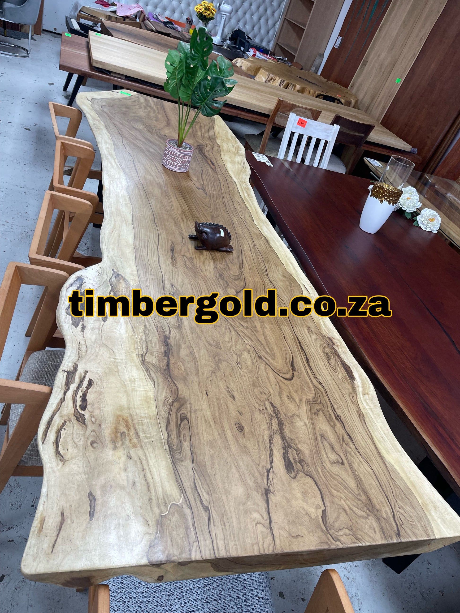 African walnut