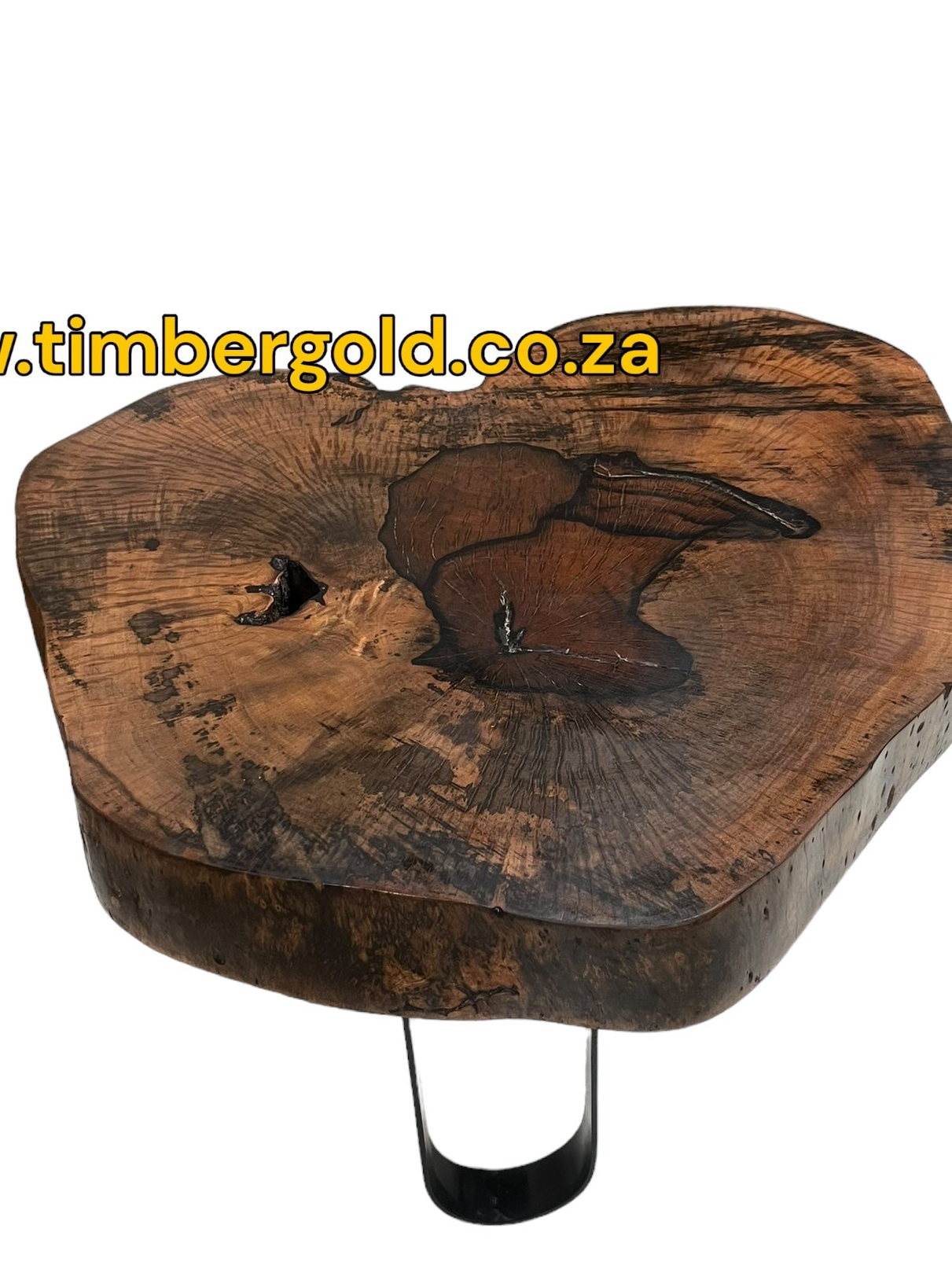 African Maple Coffee Table